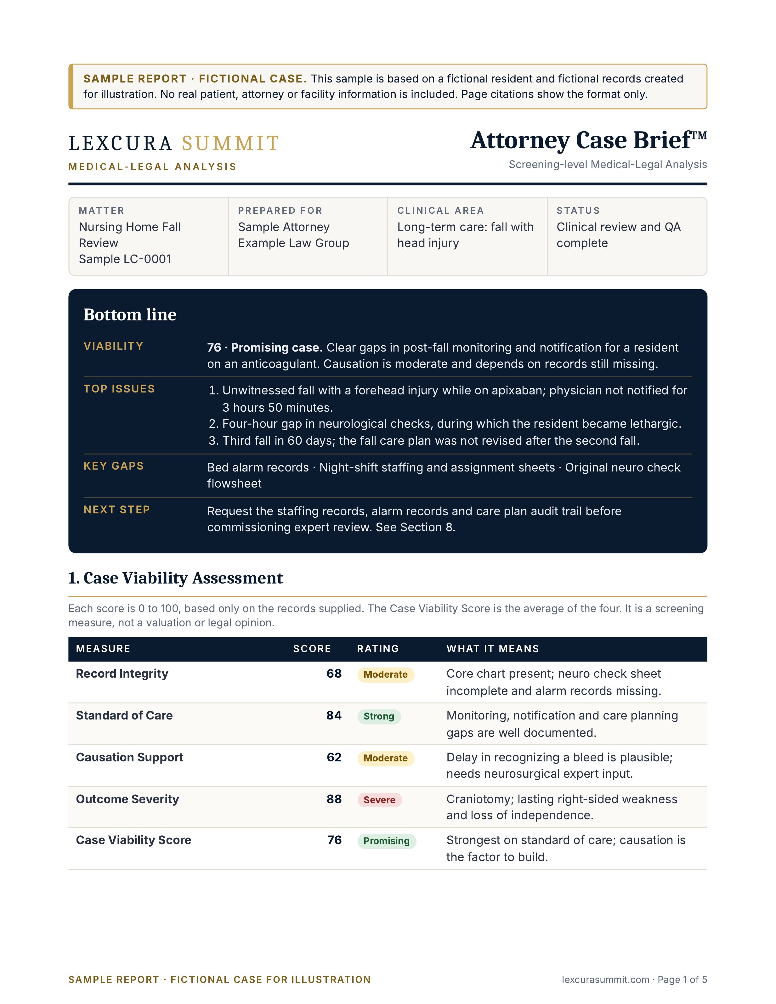 Nursing Home Fall Review sample, Bottom line and viability scores